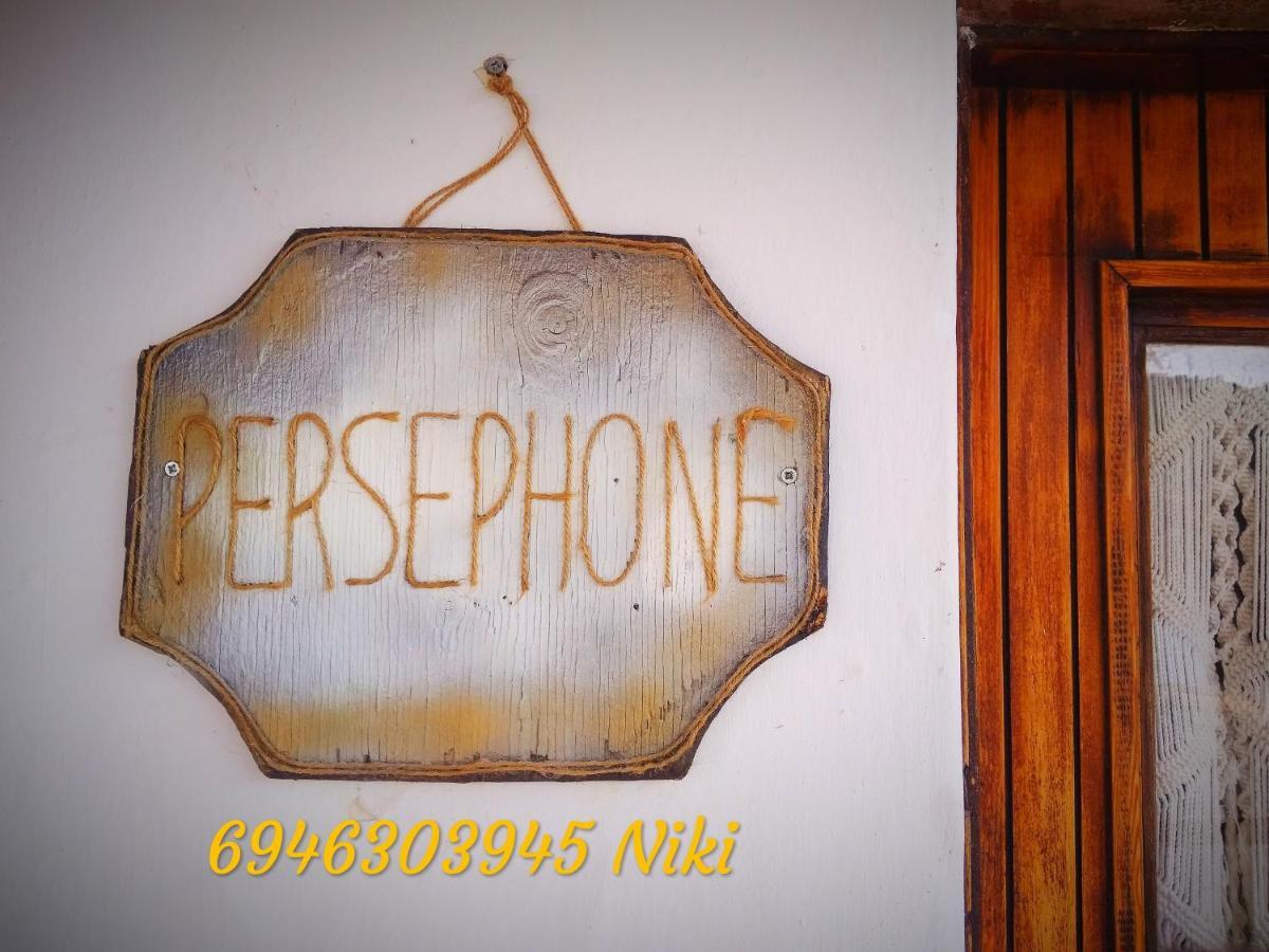 Villa Persephone Ioulis Exterior foto
